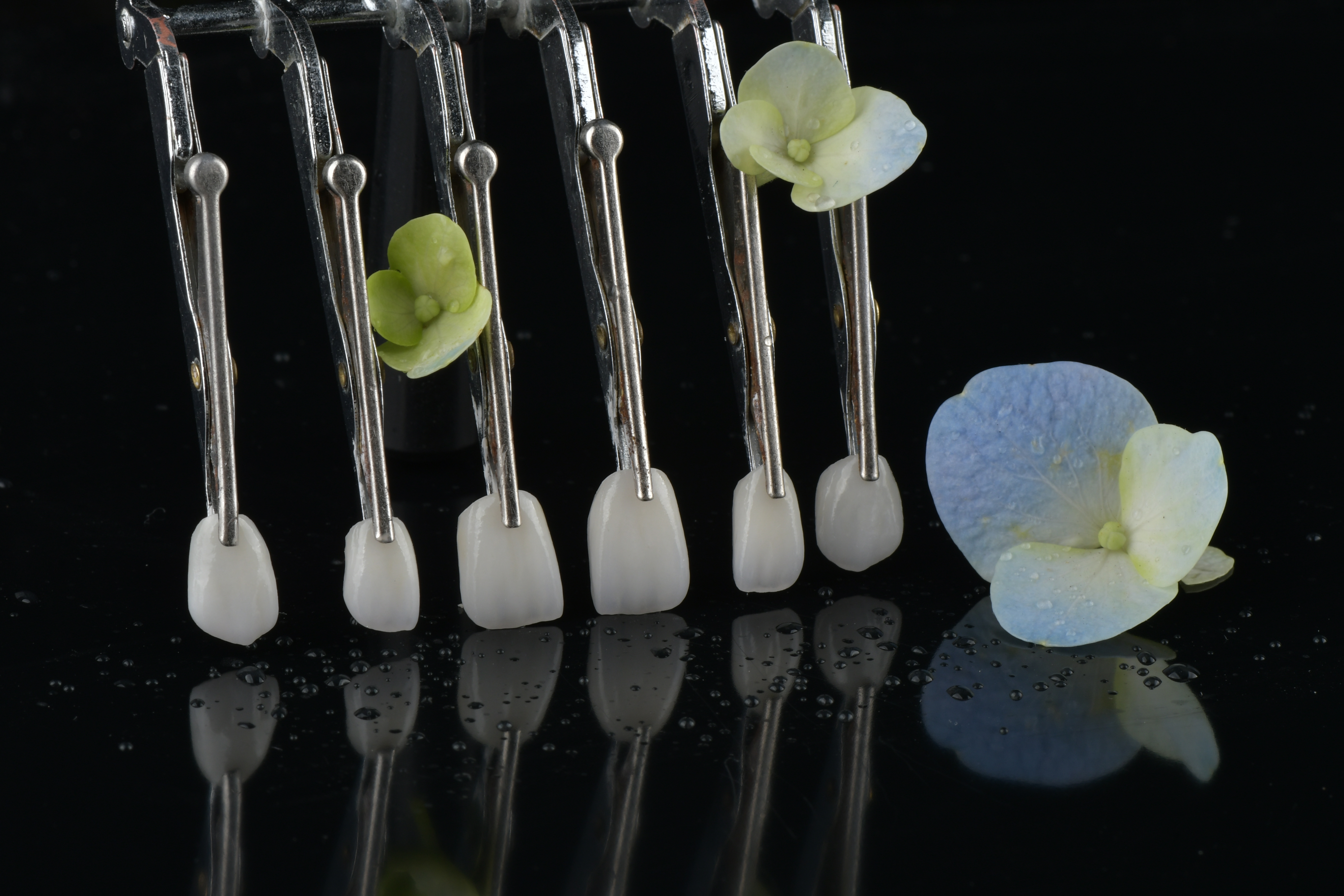 Latest company blogs about Do Fixed Restorations Require Follow-Up Appointments?