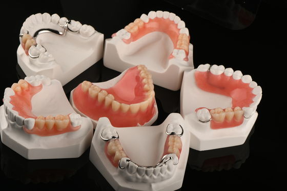 Buy Hypoallergenic Acrylic Dental Removables Artificial Teeth Removable Partial Denture online manufacture