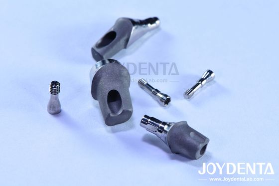 Buy Customized Dental Implant Abutments And Bars Internal Hex Connection online manufacture