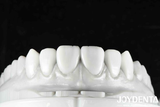 Flexible Denture Finish Revolutionize Your Dental Practice With Natural Tooth Morphology Tooth Arrangement Technology And Lightweight Property